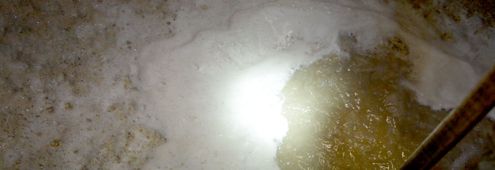 Le temps de la fermentation