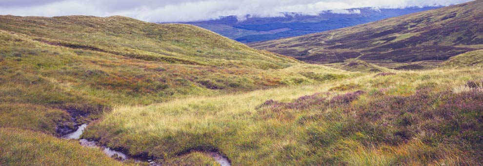 L’eau, la marque du whisky écossais