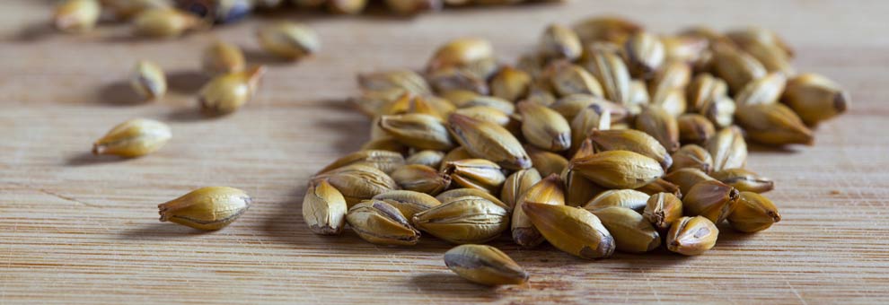 Les céréales du whisky