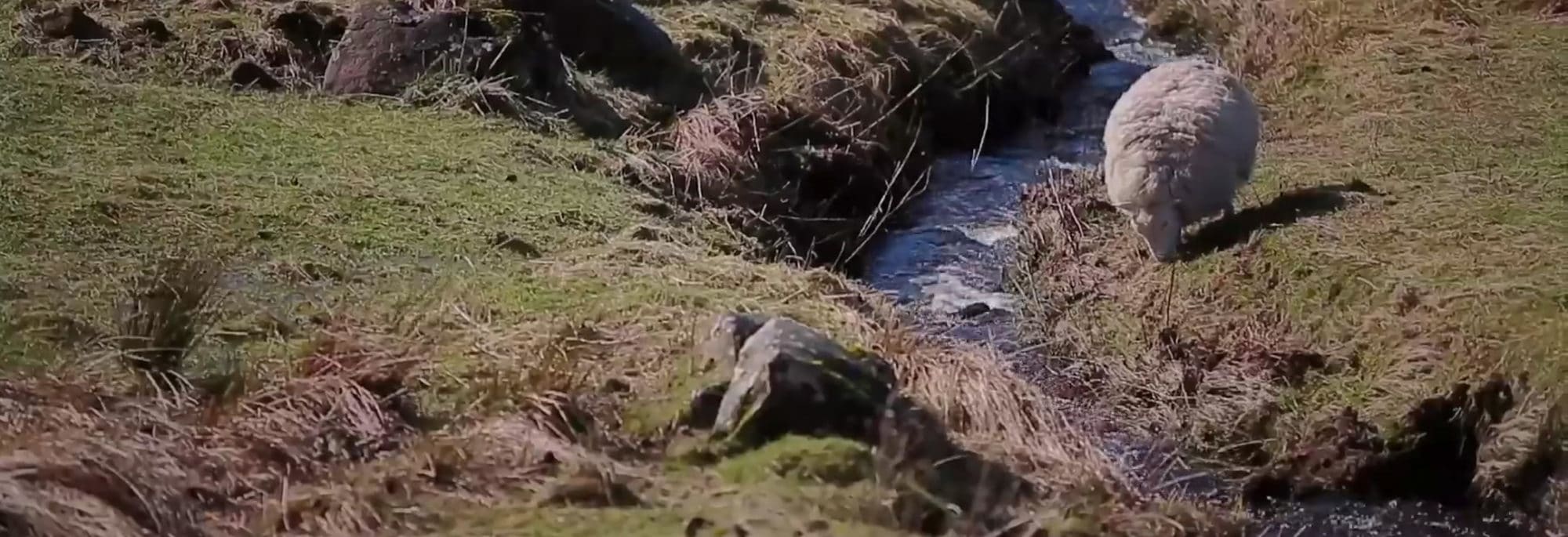 The Sir Edward’s whisky region