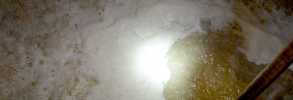 La fermentation