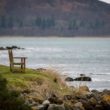 En attendant les phoques du Loch Fleet