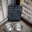 A refreshment for doggies