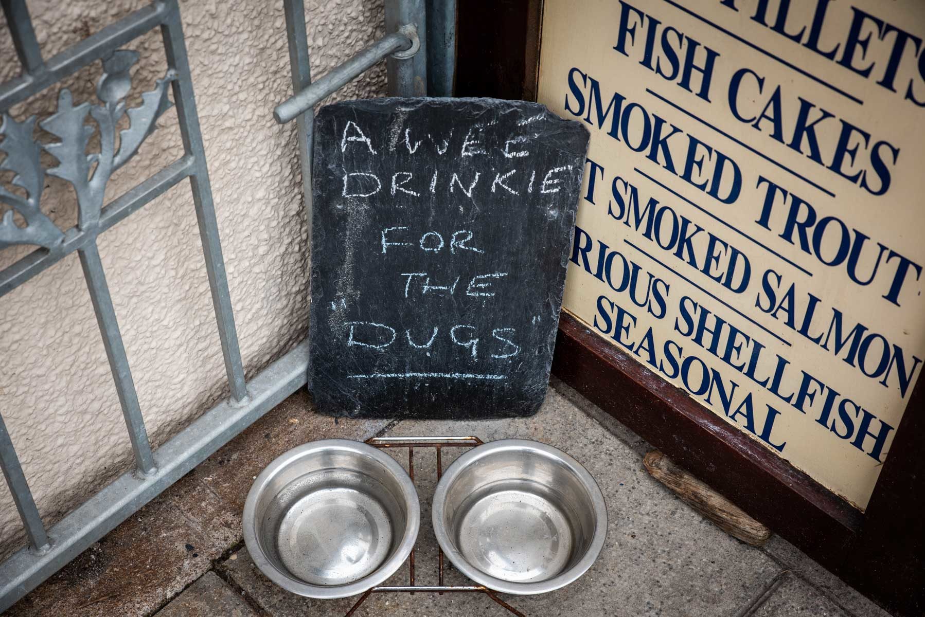 a-refreshment-for-doggies-sir-edwards-roatrip