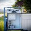 Lewis and Harris and the « convenience store »