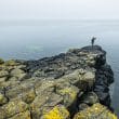 Scotland, a country of photographers