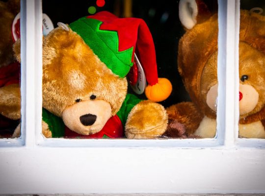An elf and a reindeer in the window