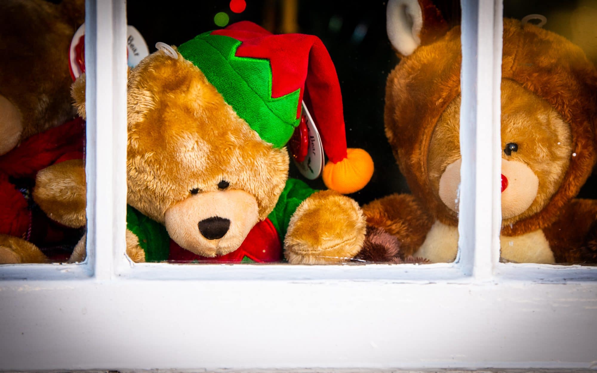 an-elf-and-a-reindeer-in-the-window-sir-edwards-roadtrip
