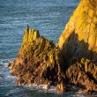 Mull of Galloway, the road paved with gold