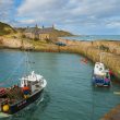 Cove Harbour, la gema oculta