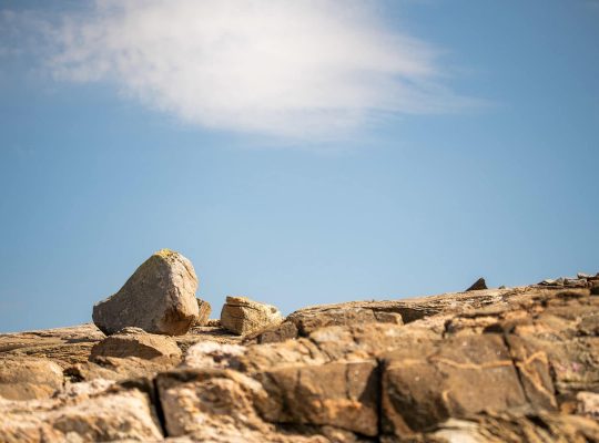 Harris, on a marché sur la lune !