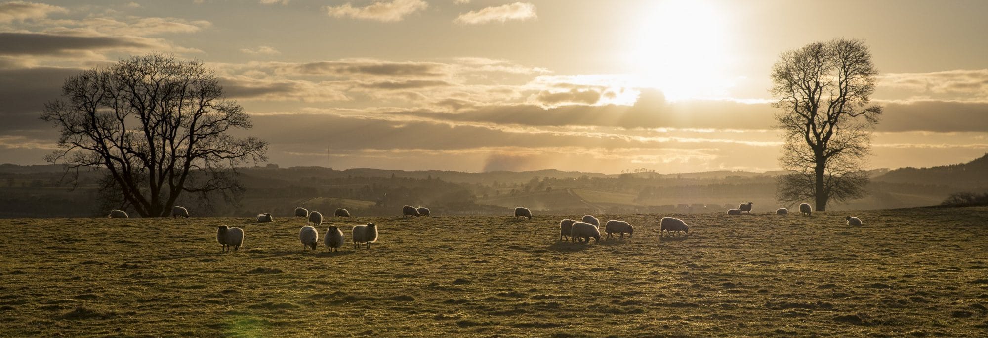 scotland