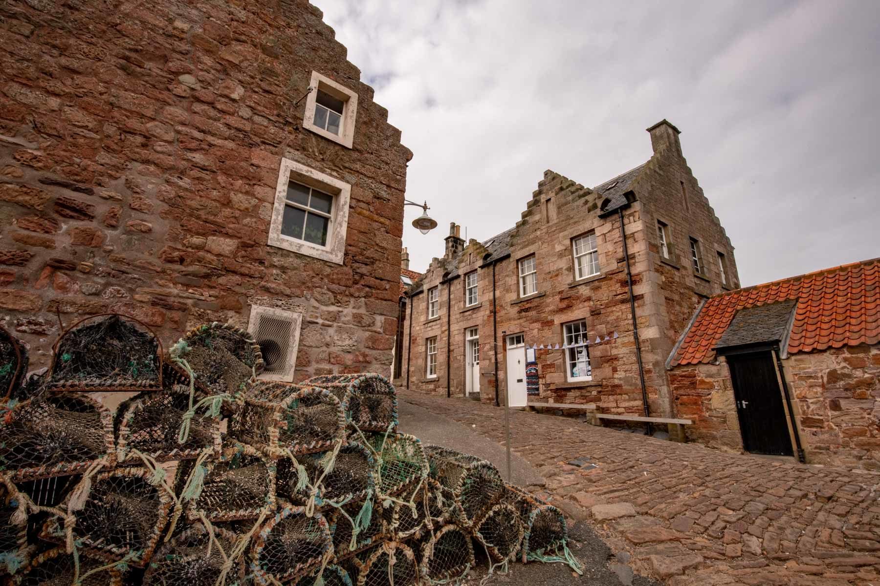 Un homard sur le port de Crail