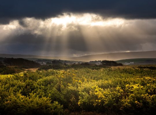 Soleil sur la lande écossaise