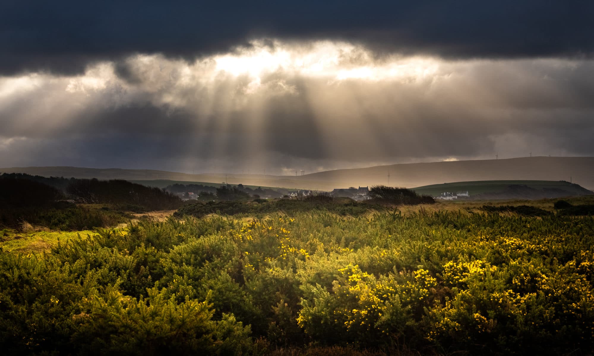 Soleil sur la lande écossaise