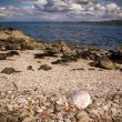 Tarbert, la plage aux coquillages