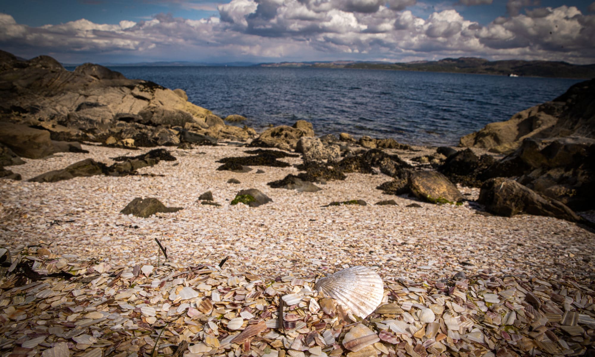 Tarbert, la plage aux coquillages