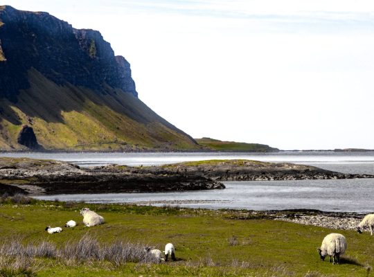 Sur les bords du loch Na Keal