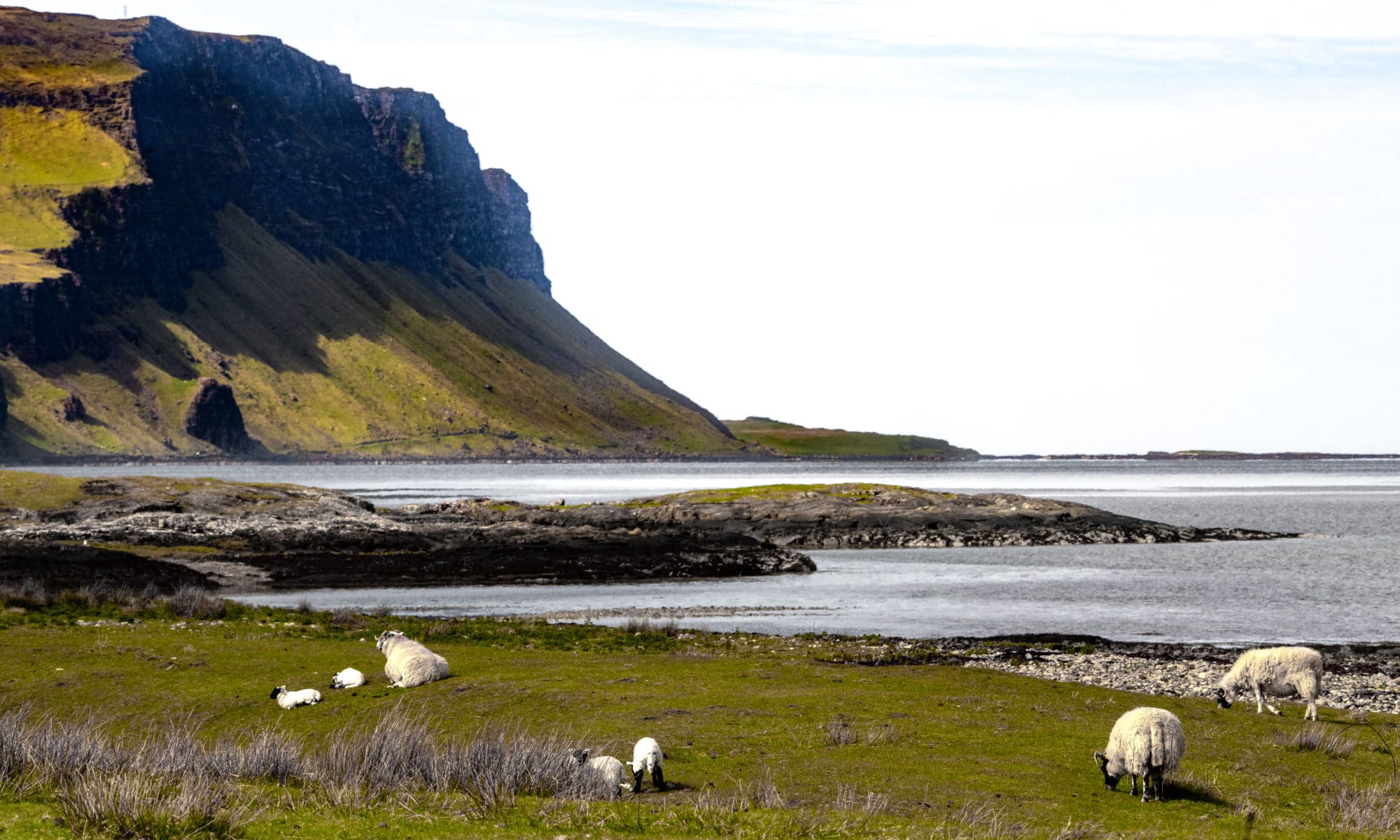 Sur les bords du loch Na Keal