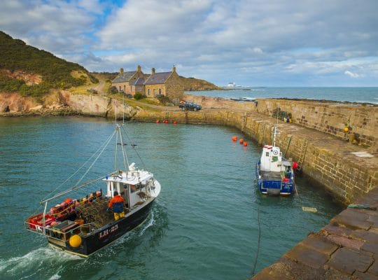 Cove Harbour, the hidden gem