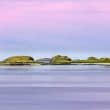 ¿El monstruo del Loch na Keal?