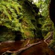 Finnich Glen, une visite chez le diable