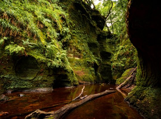 Finnich Glen, une visite chez le diable