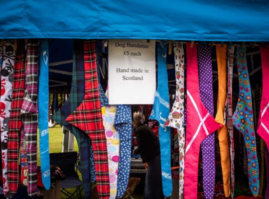 A souvenir of Scotland? A bandana for dogs!