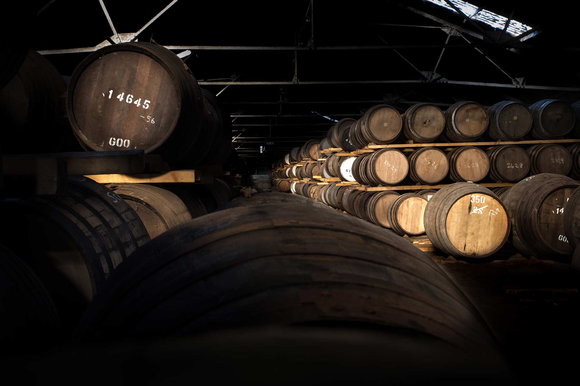 El scotch whisky, el secreto del tiempo que transcurre