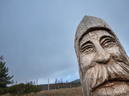 At Carrbridge, we know how to handle the chainsaw !