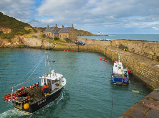 Cove Harbour, la gema oculta