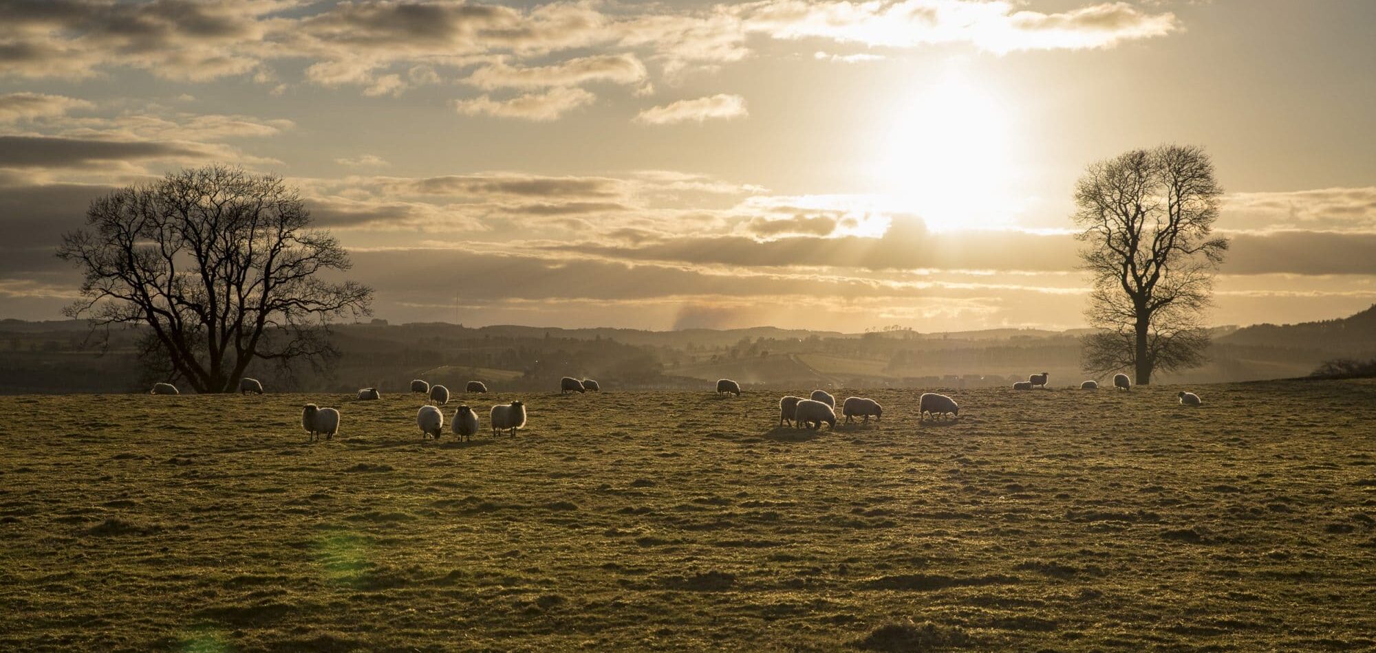 Las tierras del whisky escocés