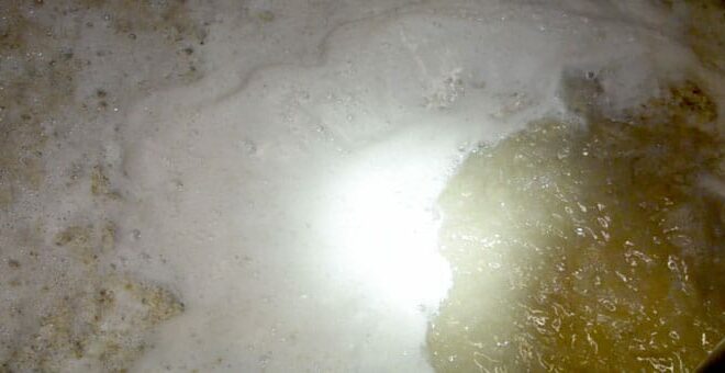 fermentation-period-sir-edwards