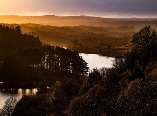 In the footsteps of Robert the Bruce