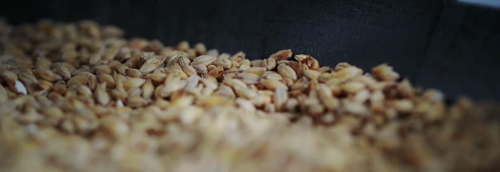 Los ingredientes del whisky