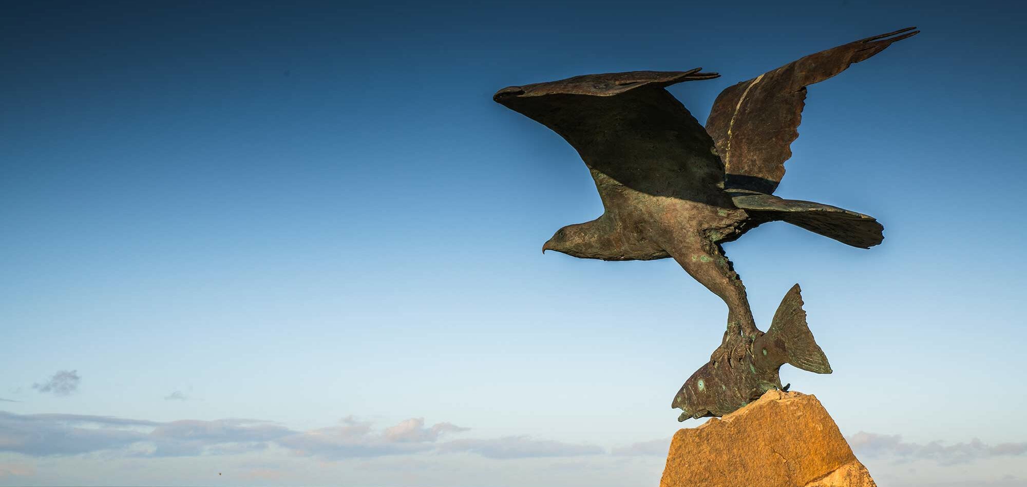 The raptor of Spey Bay