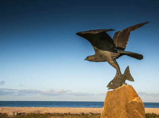 The raptor of Spey Bay