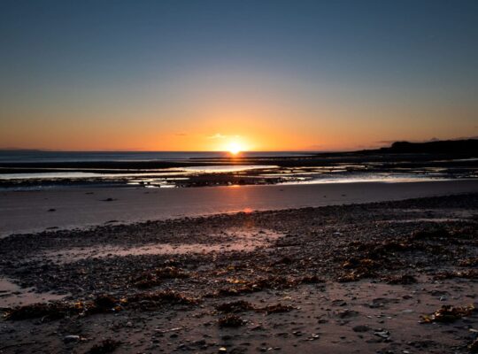 Espectáculo matutino en Sandhead
