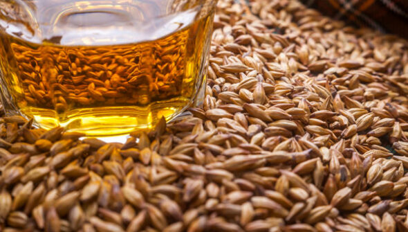 La más fina selección